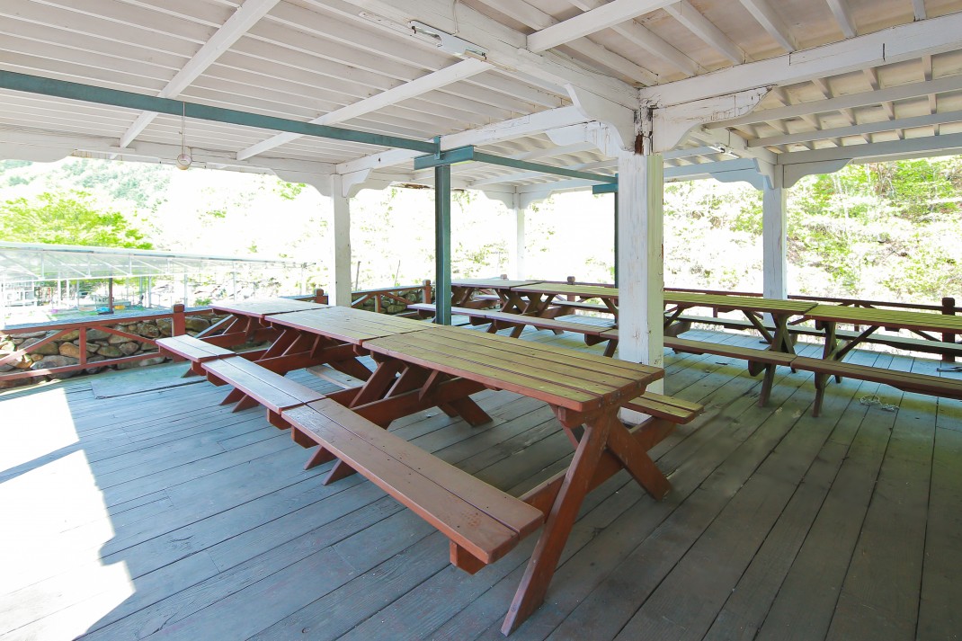 403246a35f4b7674190fff0914a64838_1493885